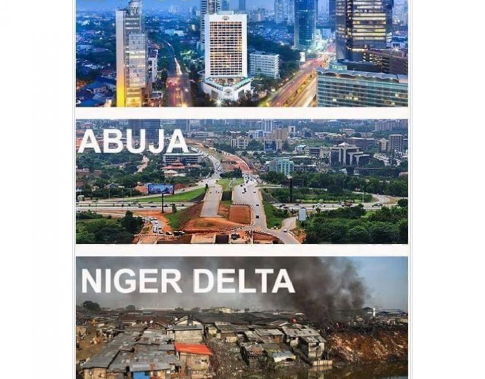 Niger Delta Avengers